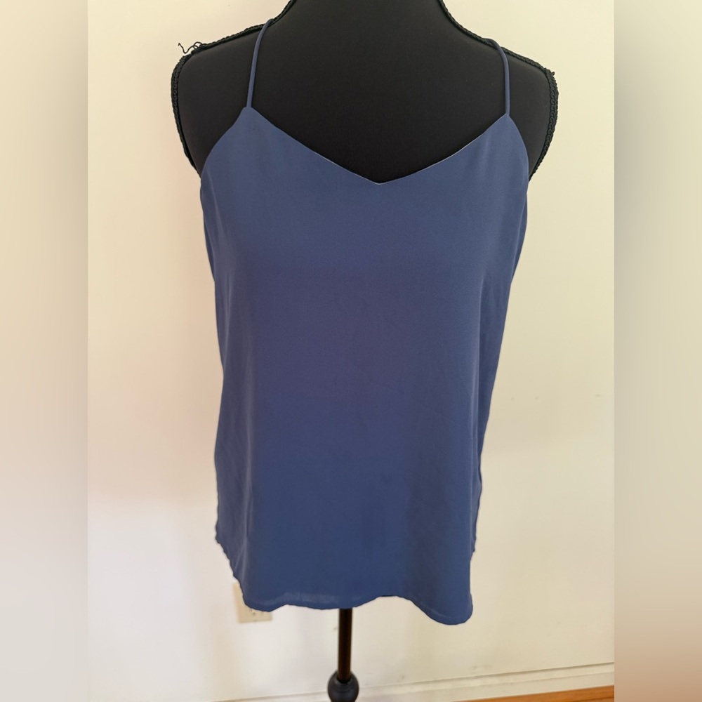 Express  Reversible Slate and Powder Blue Camisole Top